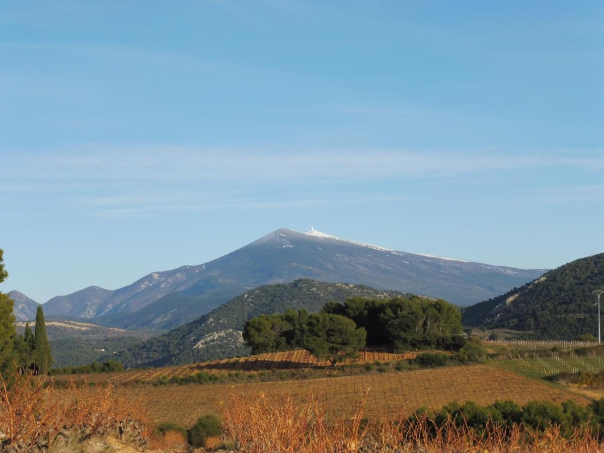 Bed and Breakfast Desir De Provence Sarrians Zewnętrze zdjęcie