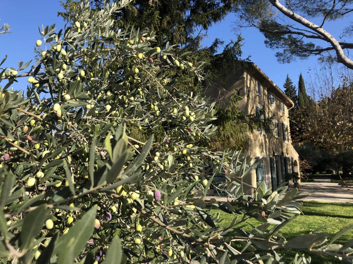 Bed and Breakfast Desir De Provence Sarrians Zewnętrze zdjęcie